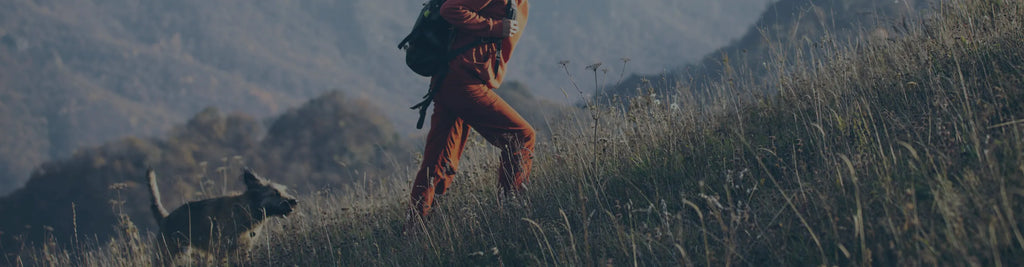 A person hiking up a mountain with a pet dog.